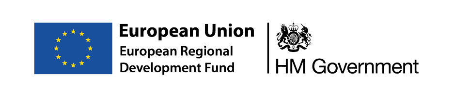 EU and UK Gov logos