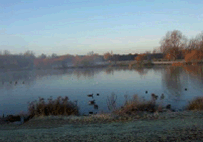 Northlands Park