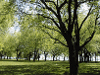 Wickford Memorial Park