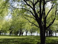 Wickford Memorial Park