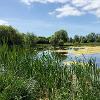 Ponds and Lakes 1