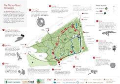 Image of Norsey Wood Trial Guide
